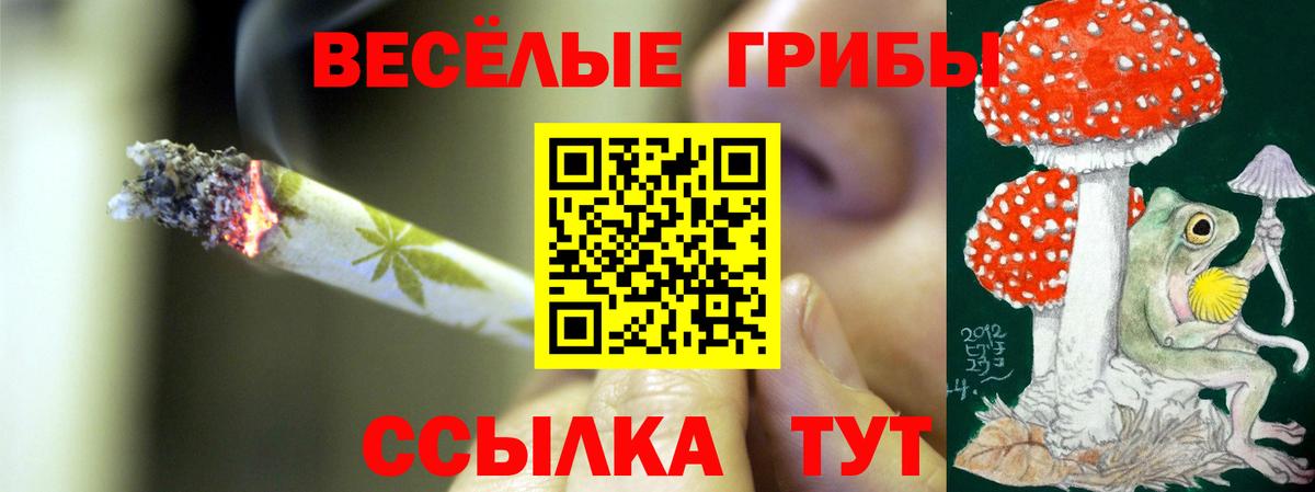 Псилоцибиновые грибы мухоморы Мценск