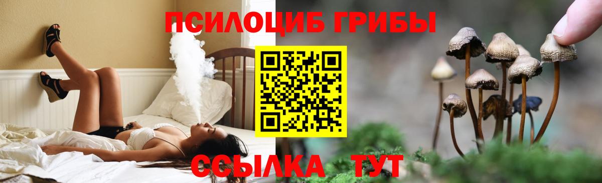 Мценск  Псилоцибиновые грибы ЛСД  Вход с VPN  Псилоцибиновые грибы мицелий 